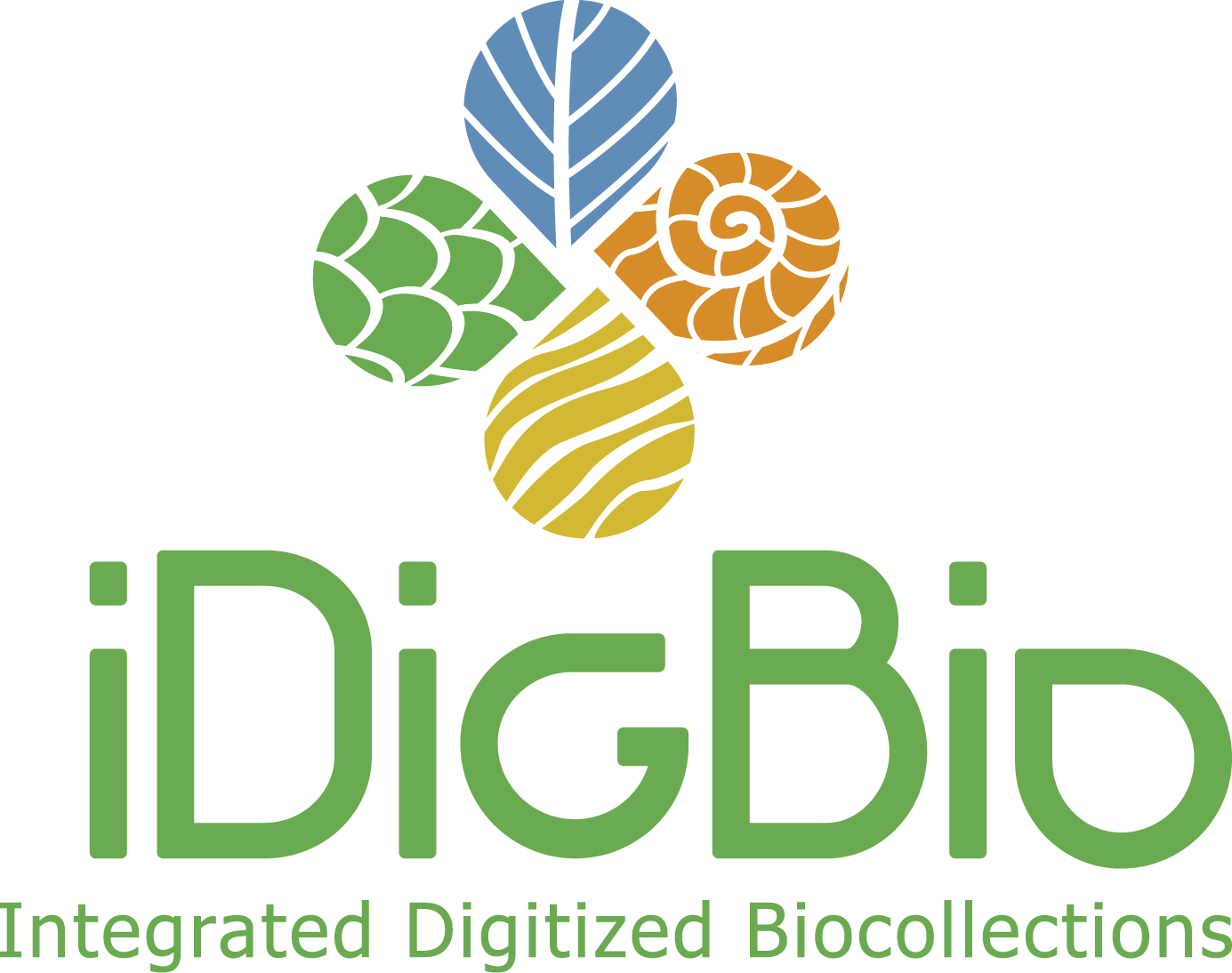 iDigBio Stacked Logo in the CMYK Color Space